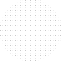 Stonecoat